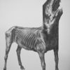 CHIMERA - 2021 - 29,7 × 21 cm - Graphite sur papier - Collection particulière